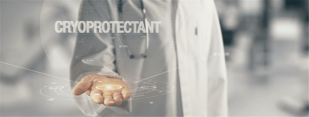 La Scoperta Di Nuovi Crioprotettori.I9521 K6srqbt W922 H401 F1 L1