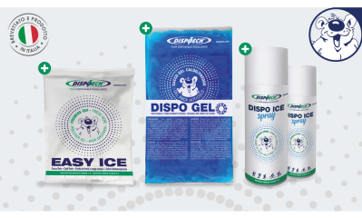 Blog Linea Ghiaccio