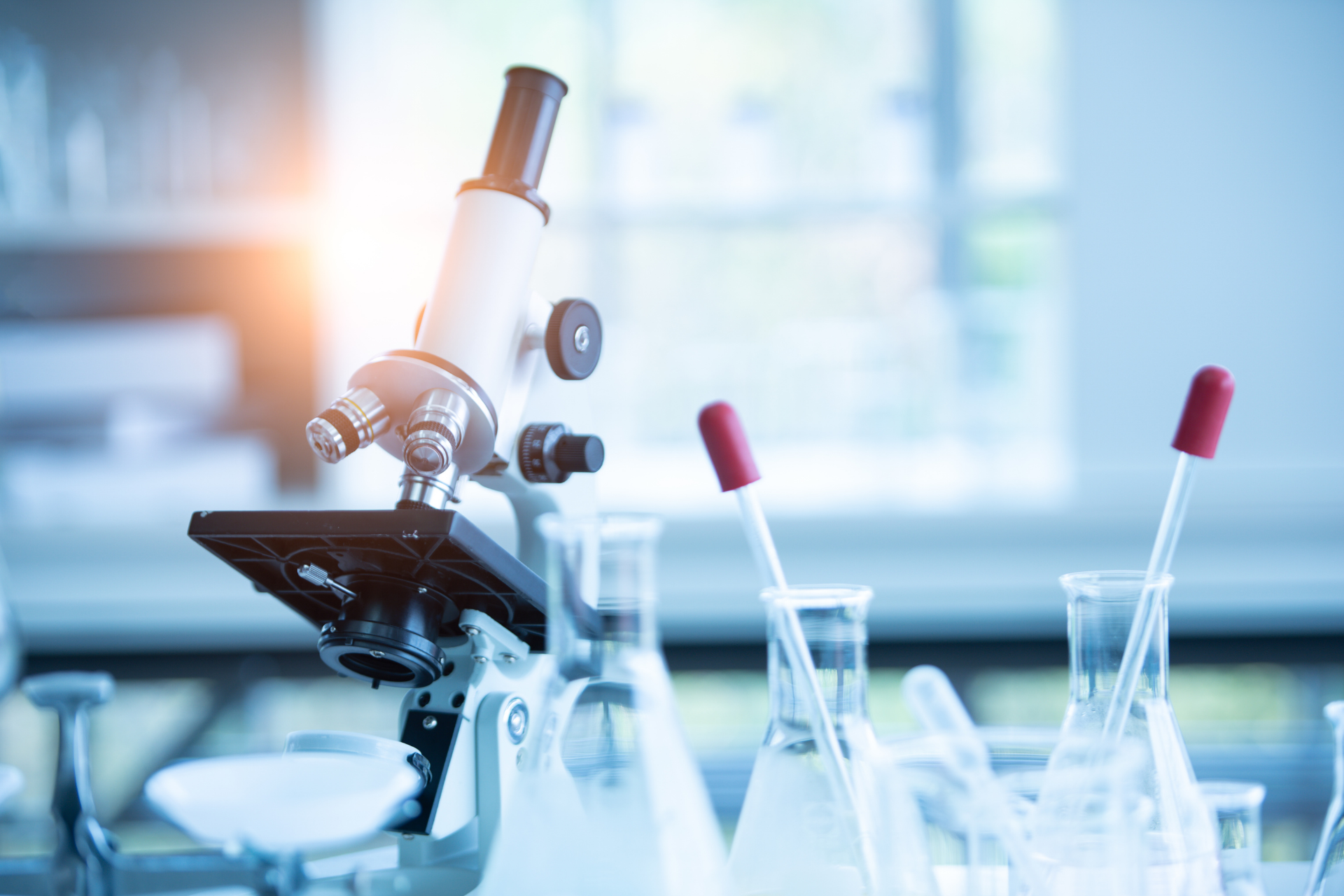 Scopri Il Nuovo Sito (960 × 960 Px) (1920 × 960 Px) (1920 × 1280 Px)