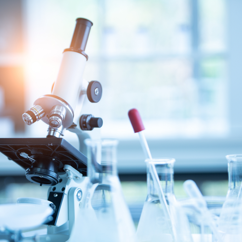 Scopri Il Nuovo Sito (960 × 960 Px) (1920 × 960 Px) (1920 × 1280 Px)