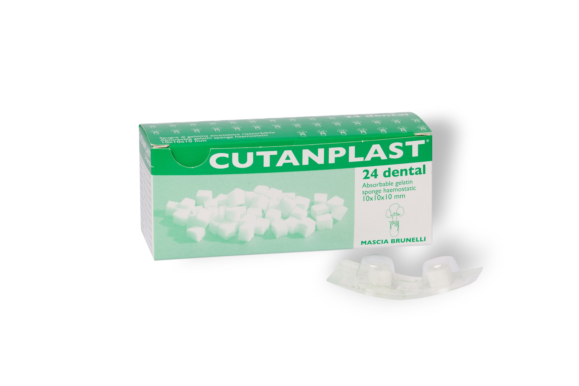 Cutanplast Dental.I4295 Khgrk2 H442 L1
